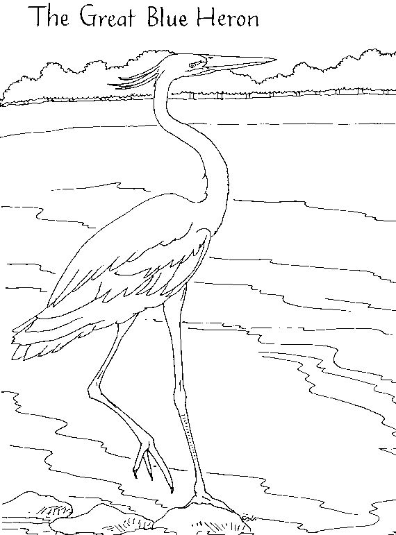 Heron Coloring Pages - Best Coloring Pages For Kids | Bird coloring pages, Coloring  pages, Coloring pages for kids