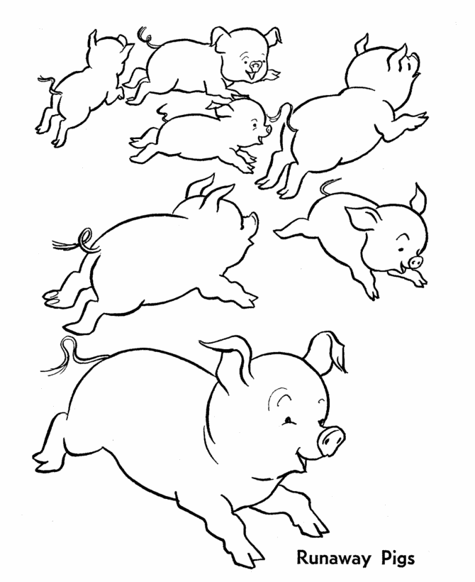 Farm Animal Coloring Pages | Printable Wild Runaway Pigs Coloring Page and  Kids Activity sheet | HonkingDonkey
