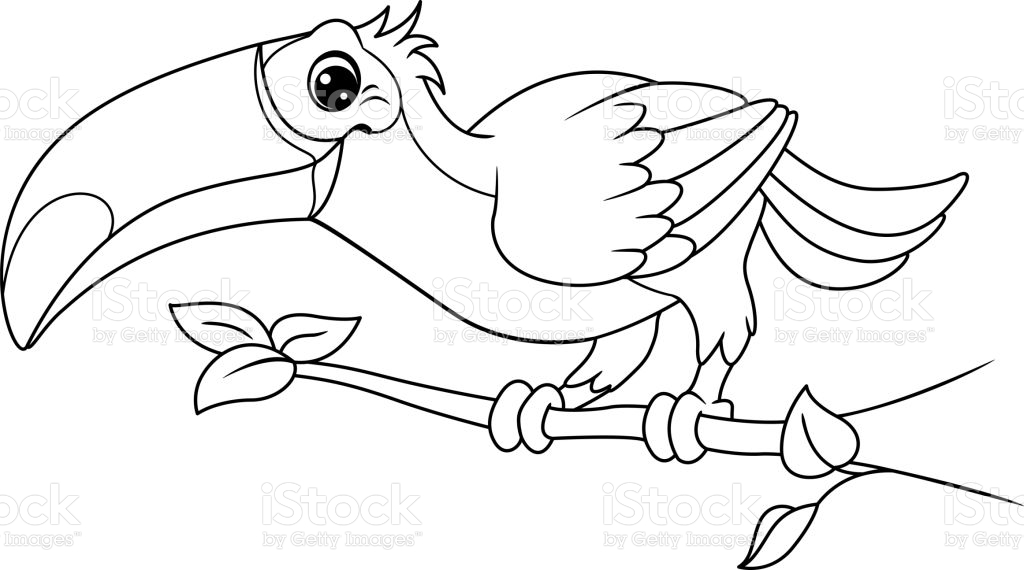 Toucan On Branch Coloring Page Stock Illustration - Download Image ...