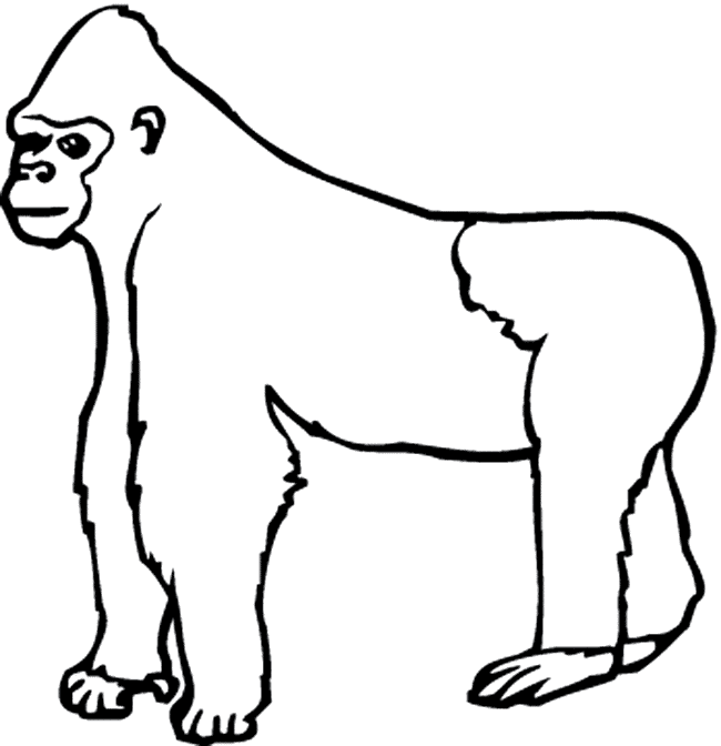 Gorilla coloring page - Animals Town - Animal color sheets Gorilla ...