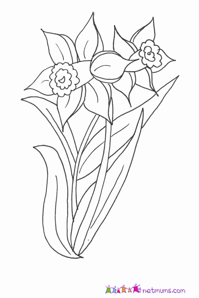 saint davids day colouring - Clip Art Library