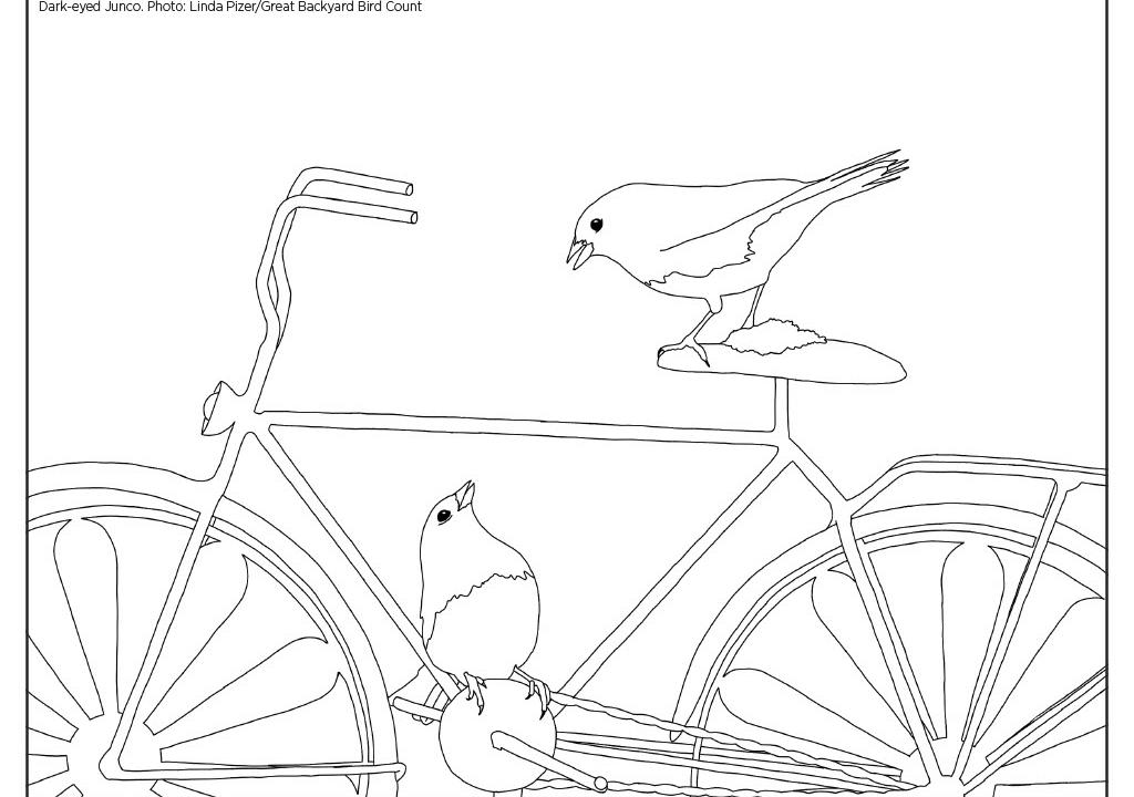 Coloring Pages | Audubon Nebraska