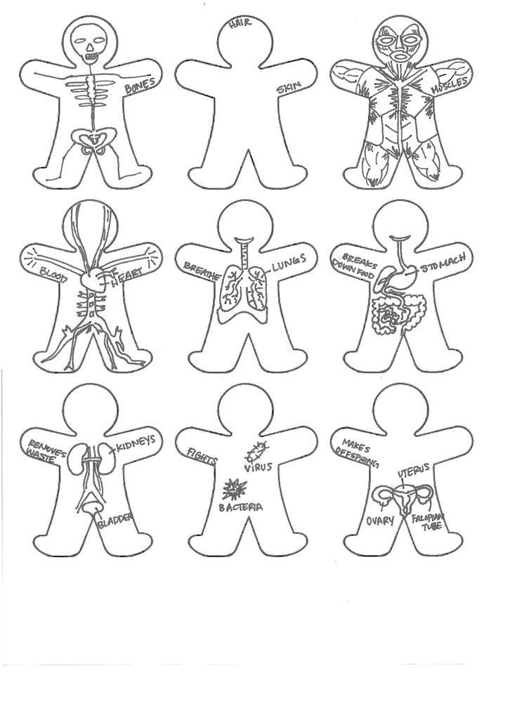 Print Body Parts Coloring Pages For Kids Az Coloring Pages ...