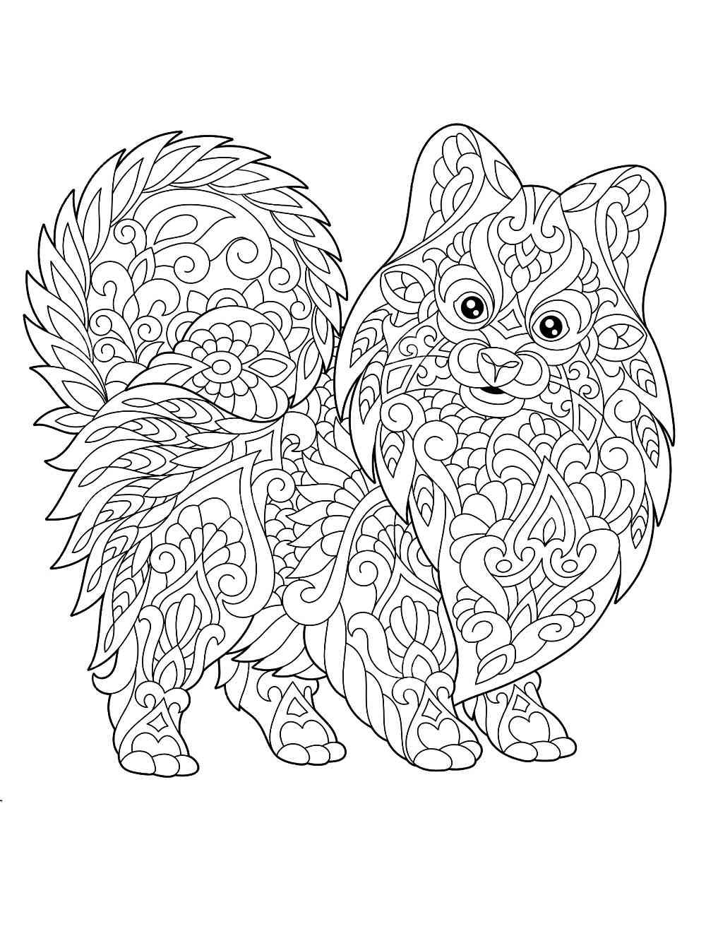 Spitz coloring pages