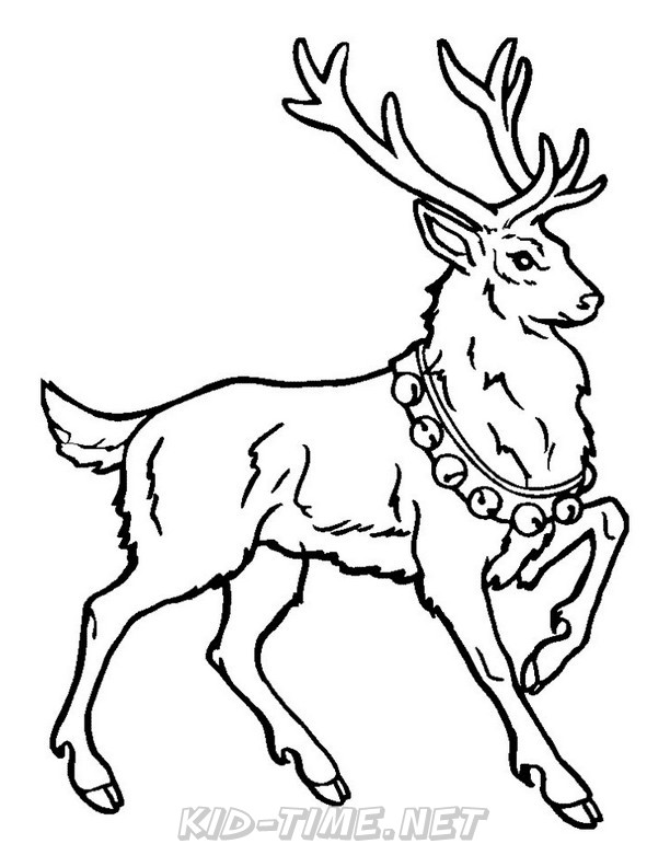 Caribou – Kids Time Fun Places to Visit and Free Coloring Book Pages  Printables