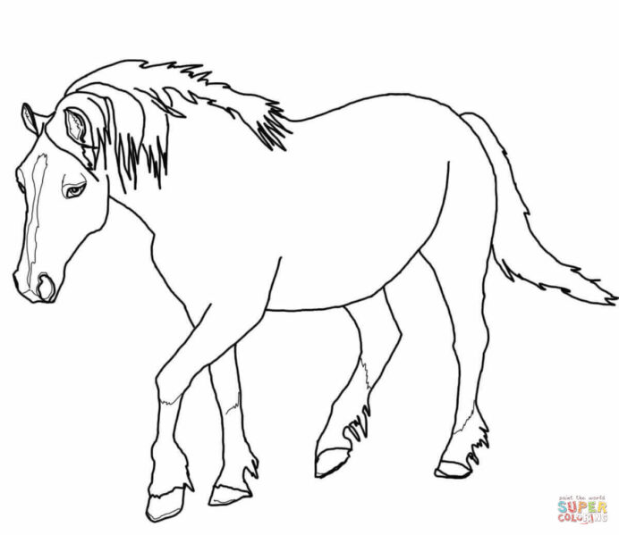 I Need Help With Math Mini Horse Coloring Pages Coloring Pages Pretty  Flowers Lego Chima Coloring Pages To Print math medal fraction word  problems year 3 grade 9 math linear equations grade