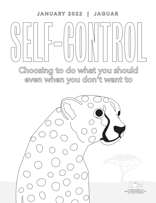 January: Self-Control | Core Values Posts