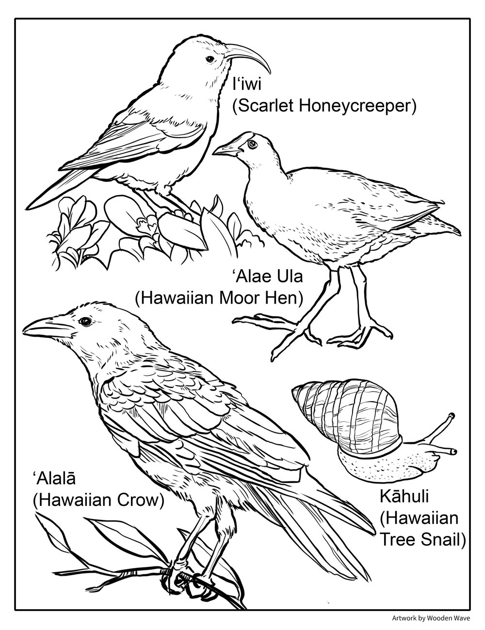 Hawaii Coloring Book — WOODEN WAVE