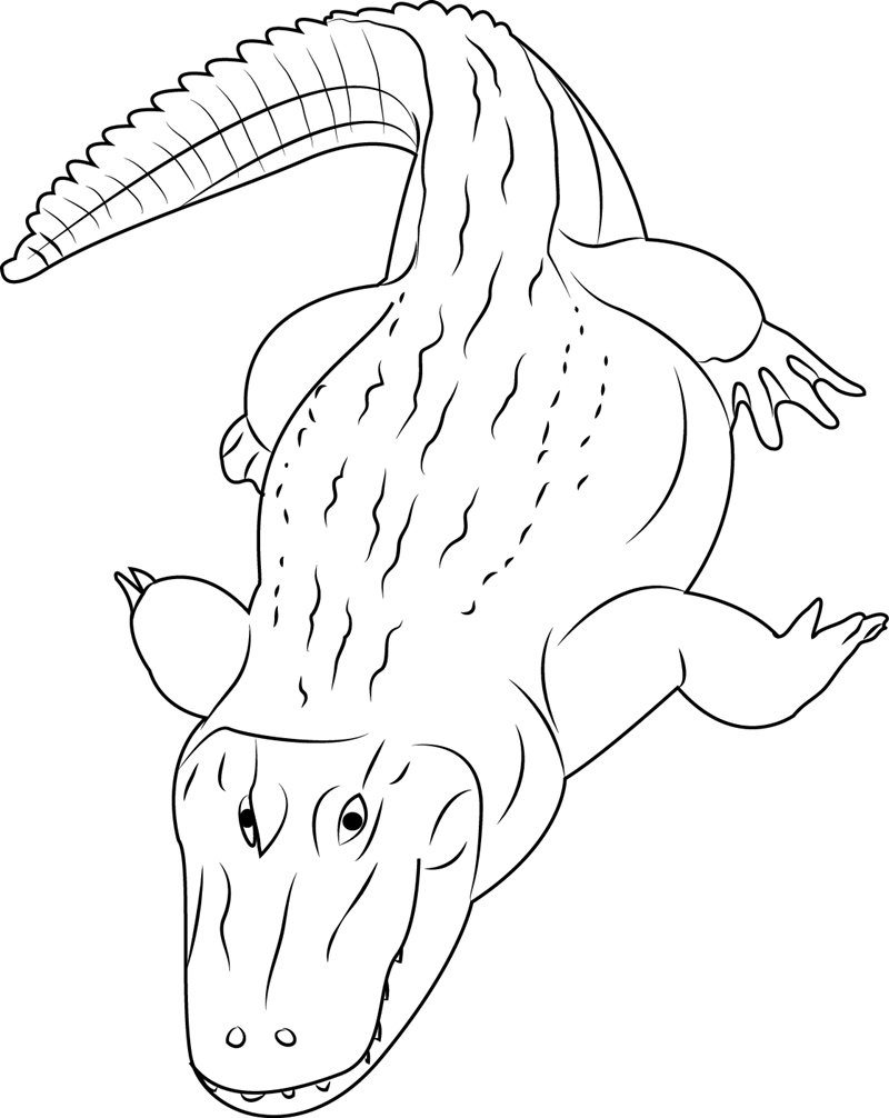 Black Caiman Coloring Page for Kids - Free Alligators Printable Coloring  Pages Online for Kids - ColoringPages101.com | Coloring Pages for Kids