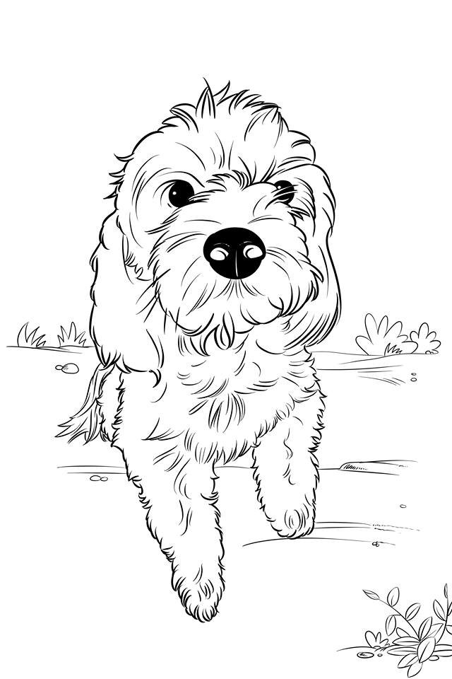 The Little Labradoodle & Friends Coloring and ActivityPages |  TheLittleLabradoodle