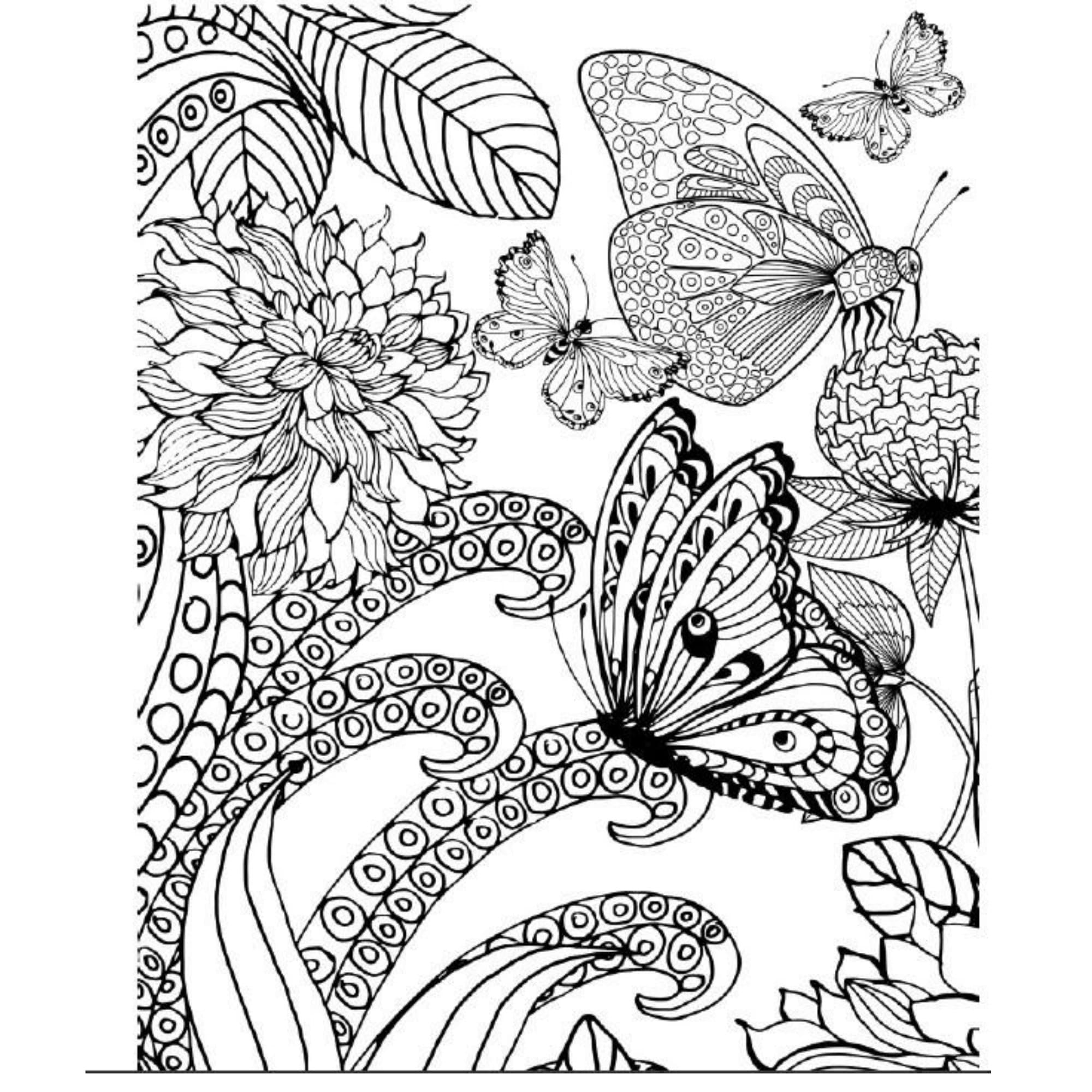 Printable Butterfly Adult Coloring Book PDF Stress Relief - Etsy