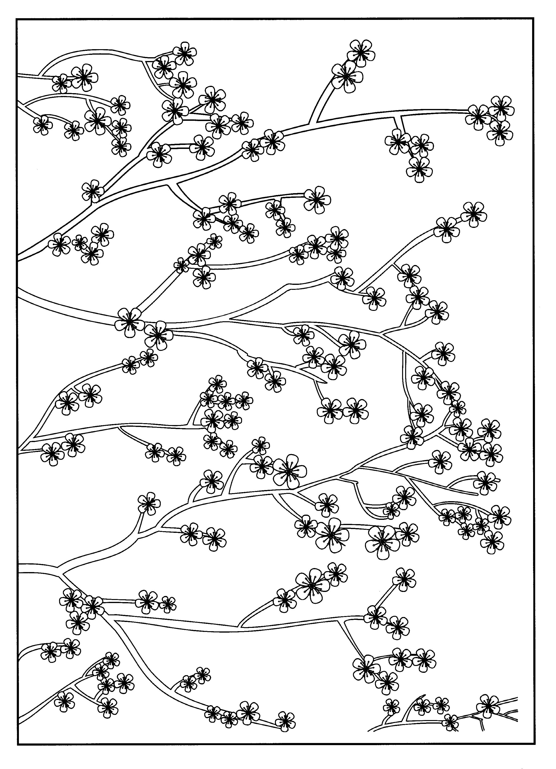 Cherry blossom - Japan Adult Coloring Pages