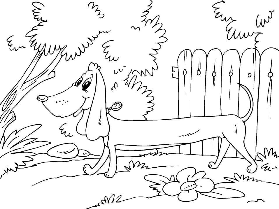Smiling Dachshund Coloring Page - Free Printable Coloring Pages for Kids
