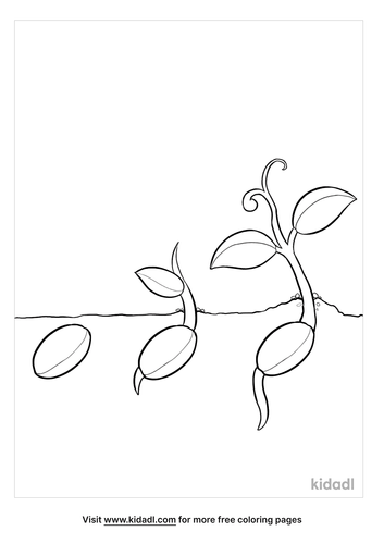 Plant A Seed Coloring Page | Free Plants Coloring Page | Kidadl