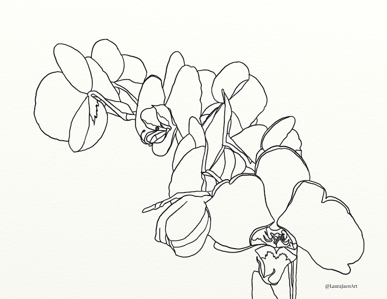 06 – Orchid Coloring Page – LauraJaenArt