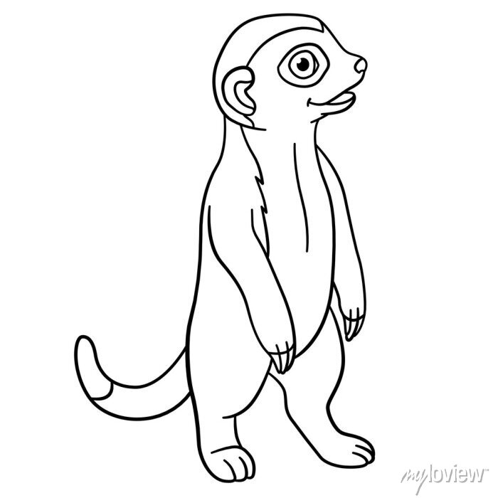 Coloring pages. little cute baby meerkat smiles. • wall stickers example,  funny, wildlife | myloview.com