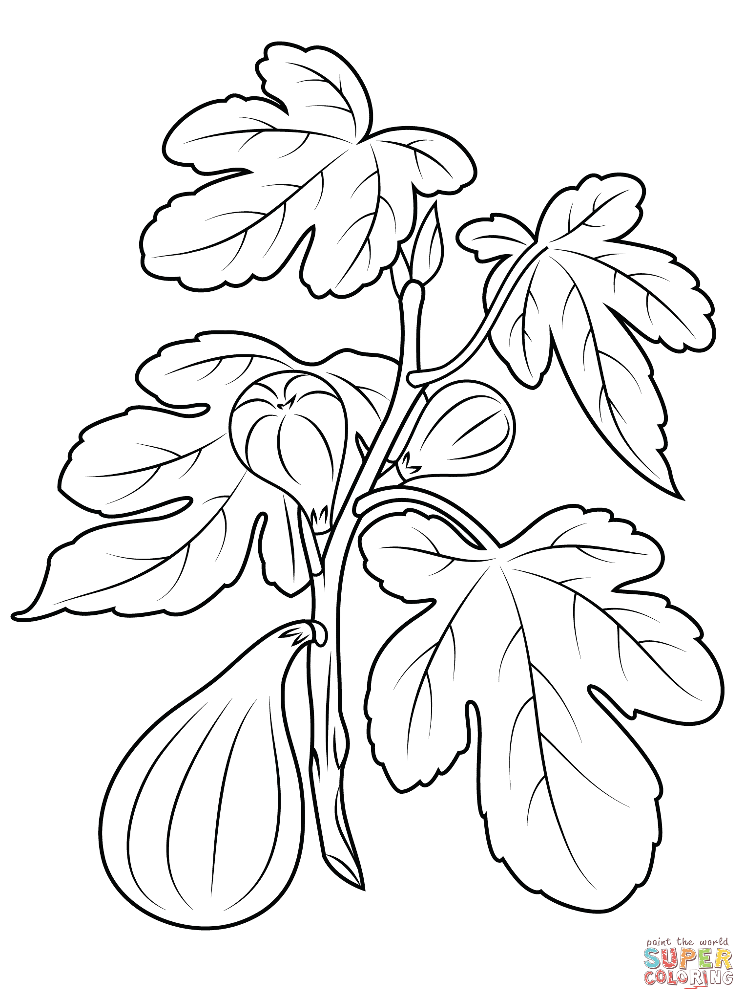 Fig Plant coloring page | Free Printable Coloring Pages