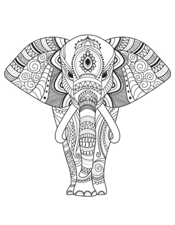 Adult/teen Coloring Page mandala Elephant Digital Download - Etsy