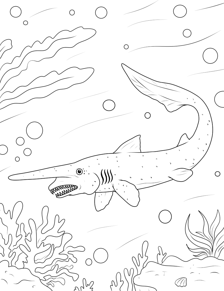 Shark Coloring Pages - Activity Party