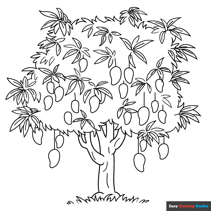 Mango Tree Coloring Page | Easy Drawing Guides