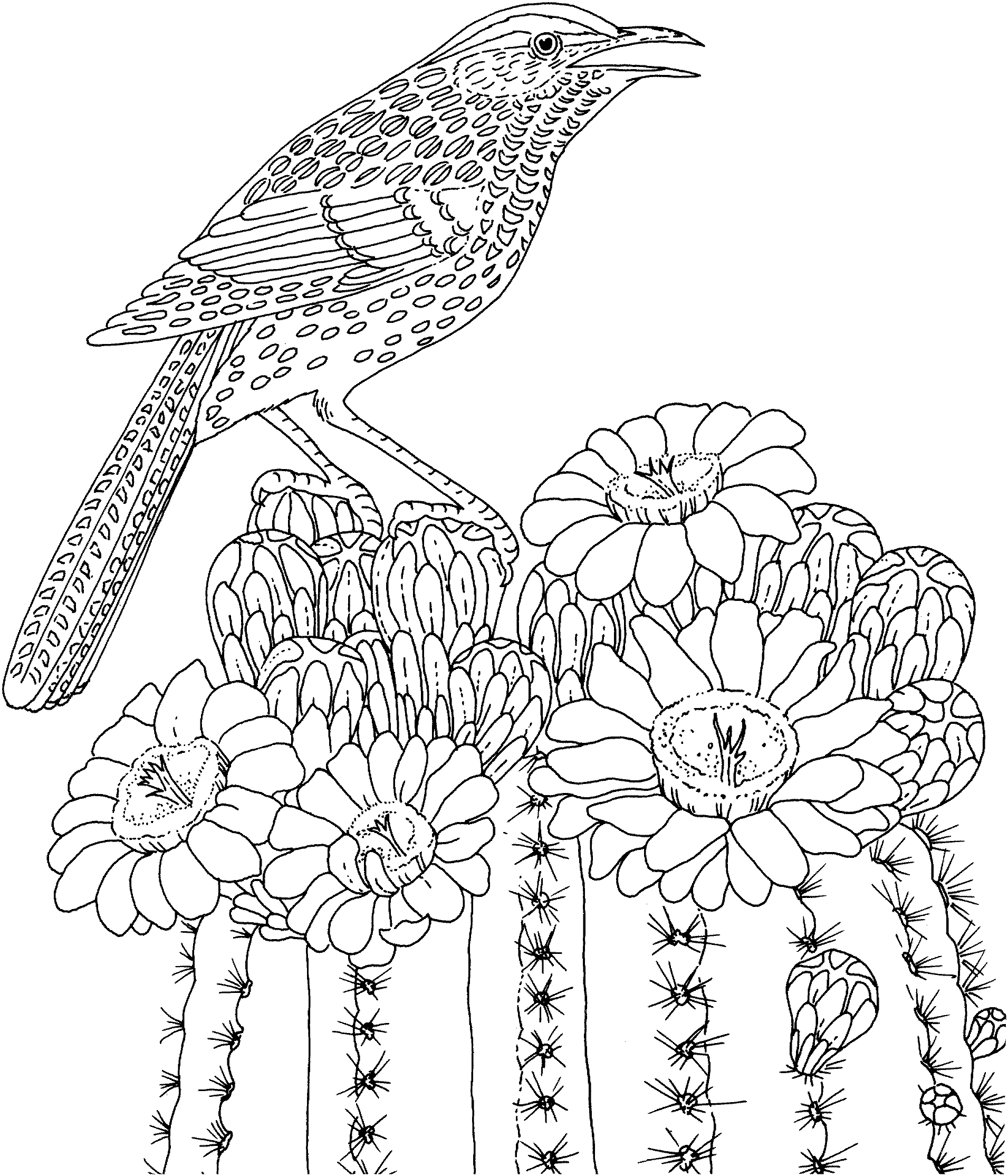 Difficult Animal Coloring Pages Free Intricate Coloring Pages ...