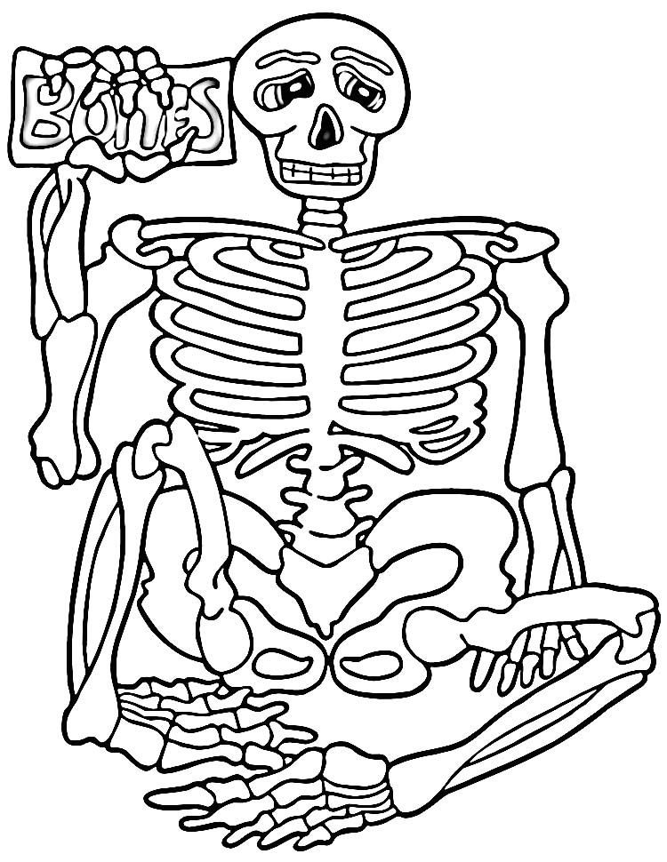 Free Human Body Coloring Pages, Download Free Clip Art, Free Clip Art on  Clipart Library