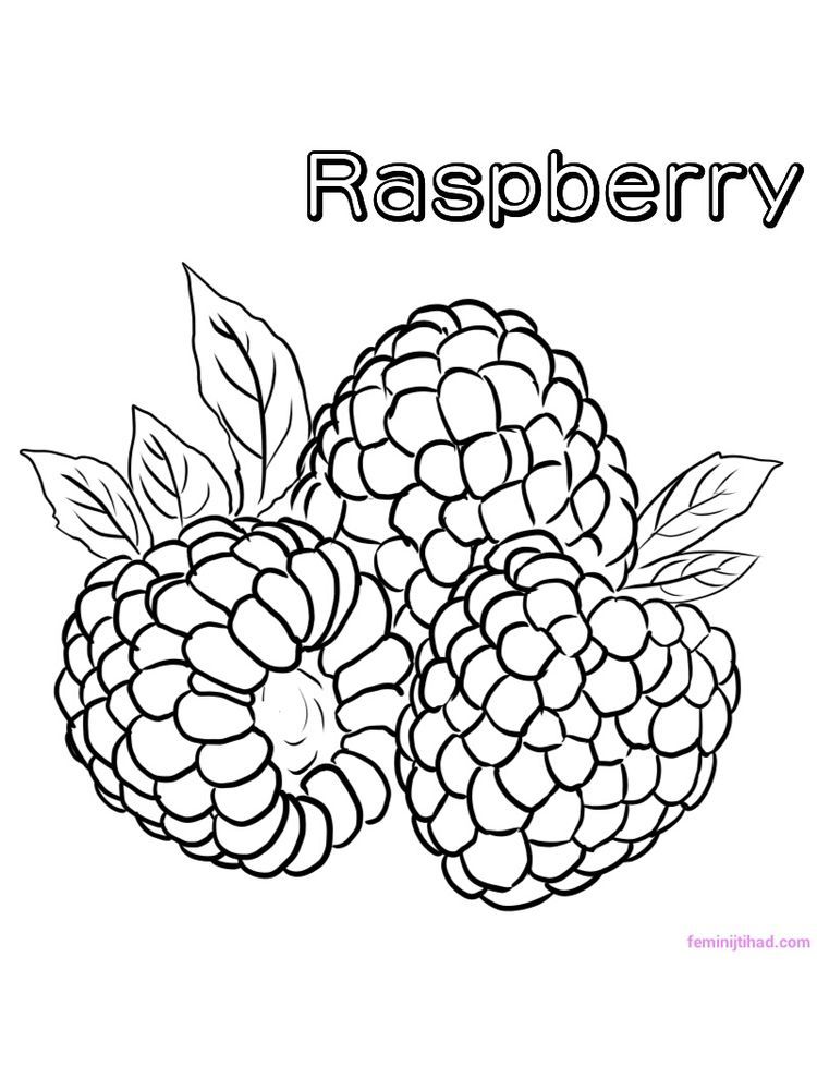 raspberry coloring. Raspberries are the fruit of the family of berries  which have very beautiful shapes and … | Fruit coloring pages, Coloring  pages, Coloring books