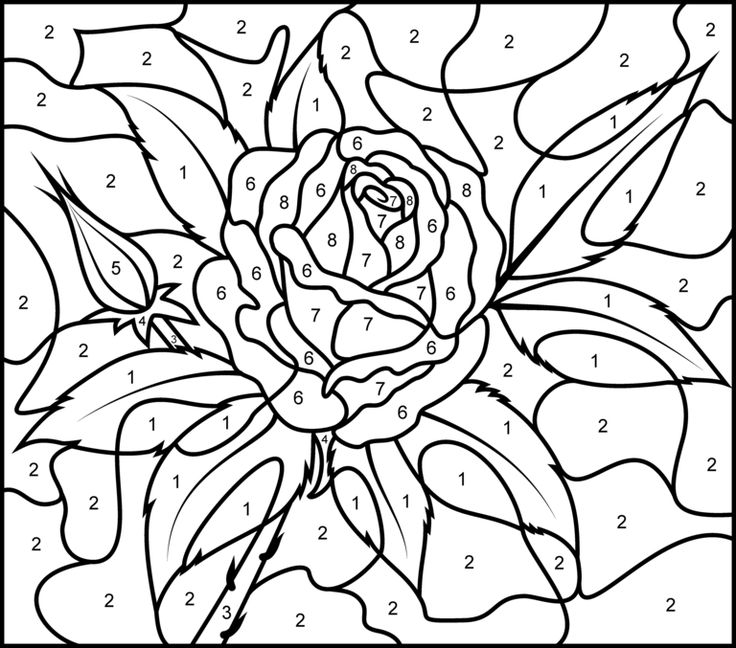 Hard Color By Number Coloring Pages at GetDrawings.com ...