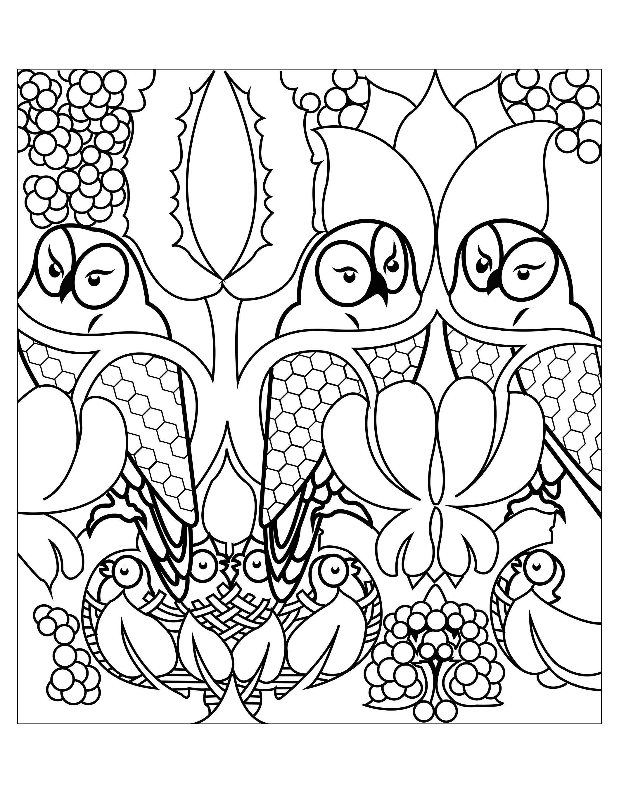 Cute owls - Owls Adult Coloring Pages