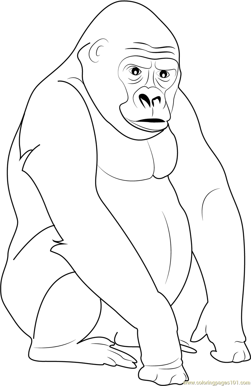 Silverback Gorilla Coloring Page - Free Gorilla Coloring Pages ...