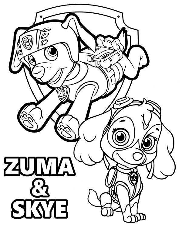 Zuma and Skye pups from Paw Patrol on printable coloring books