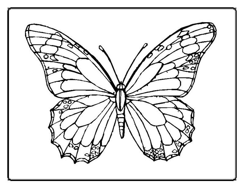 Coloring Pages Optical Illusions Page 1