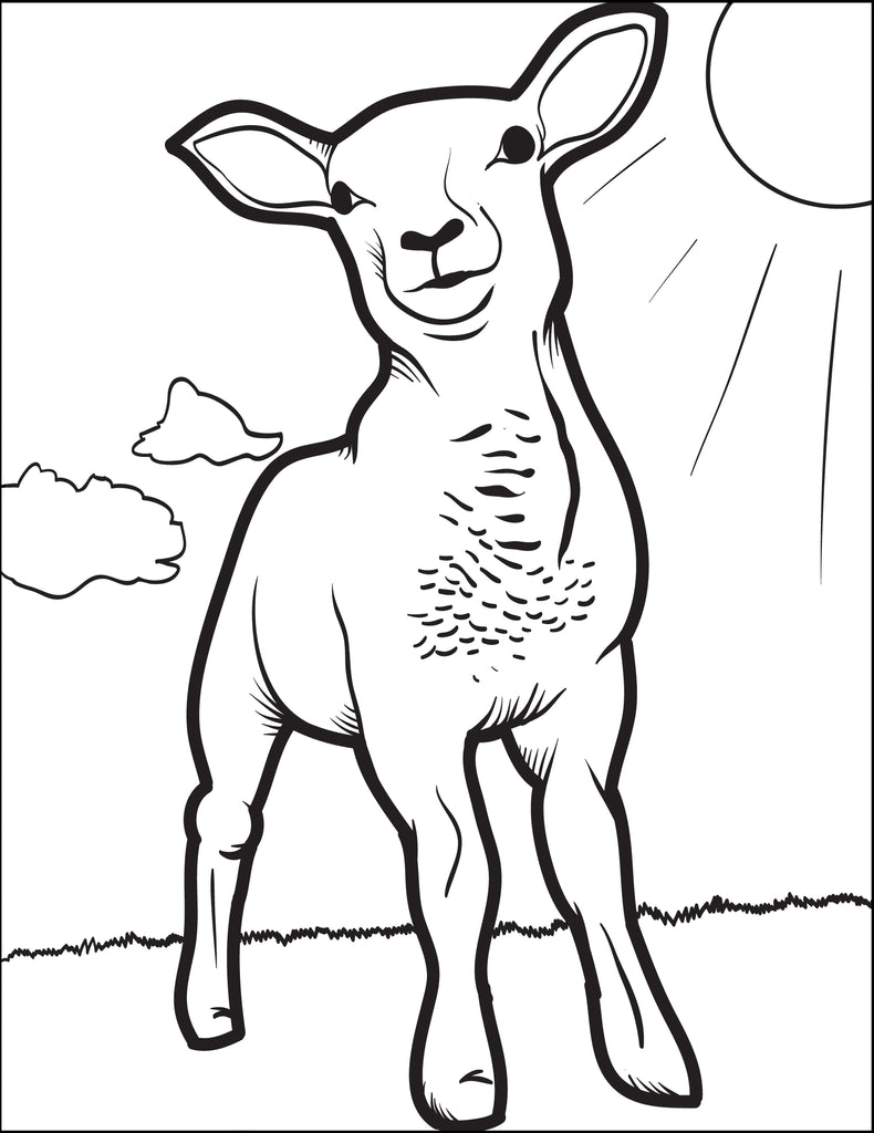 Printable Lamb Coloring Page for Kids #2 – SupplyMe