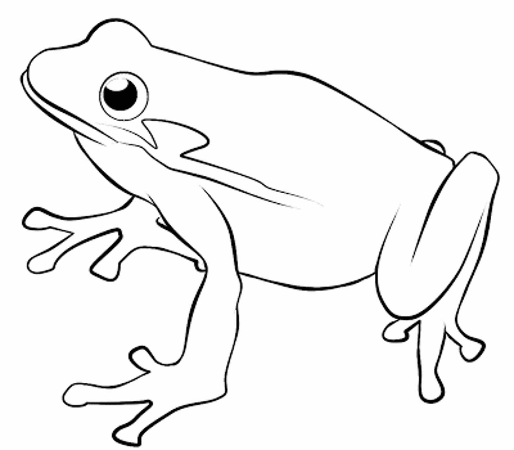 Frog Coloring Page - Coloring Pages for Kids and for Adults