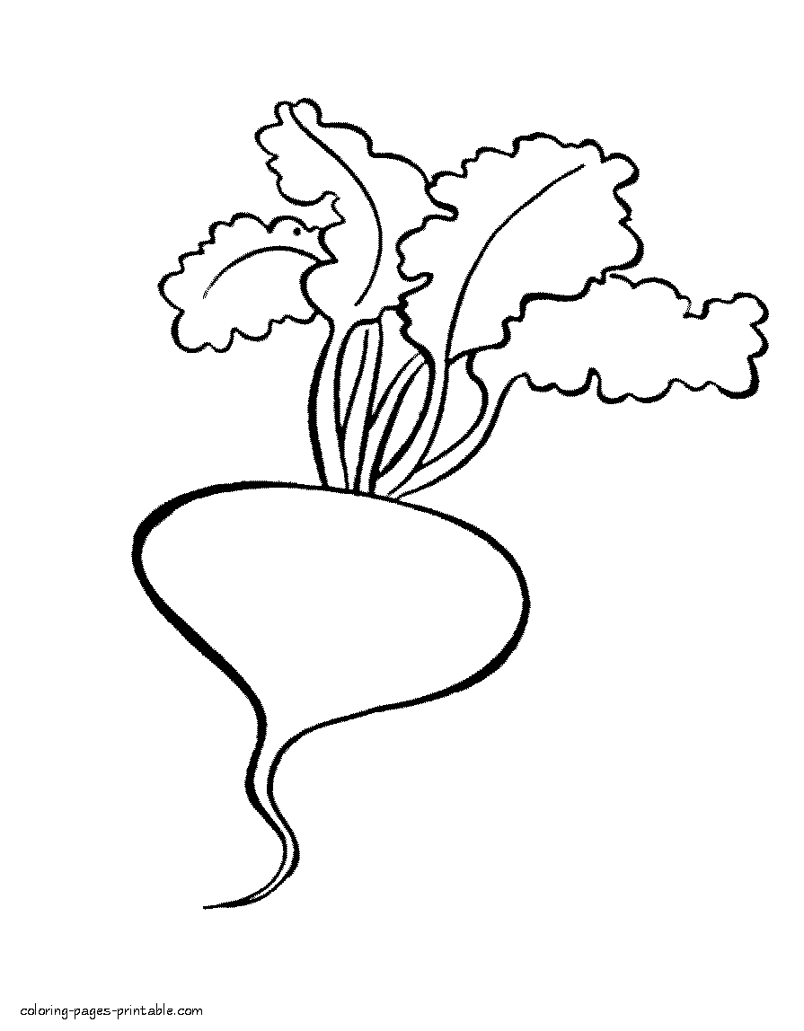 Preschool coloring book. Beet vegetable || COLORING-PAGES-PRINTABLE.COM