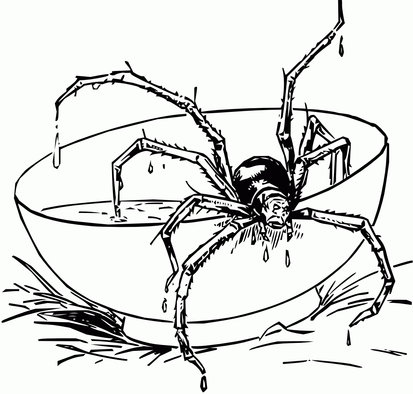 Animal Spider Coloring Pages - Coloring Pages For All Ages