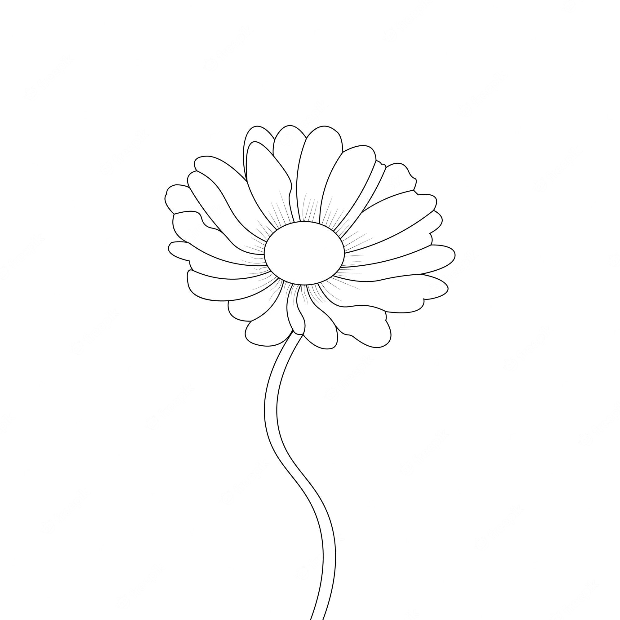 Daisy flower coloring page Vectors & Illustrations for Free Download |  Freepik