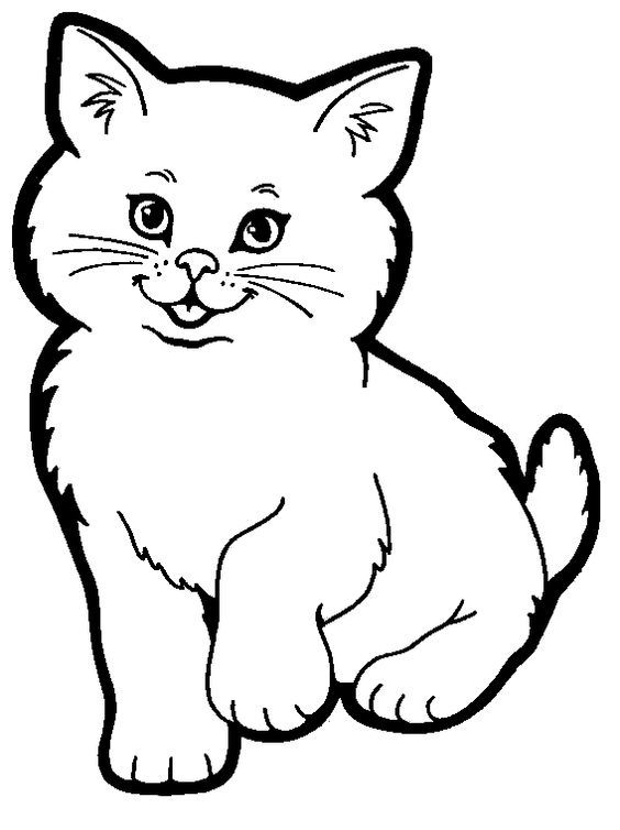 Cute Cat - Coloring Pages for Kids and for Adults