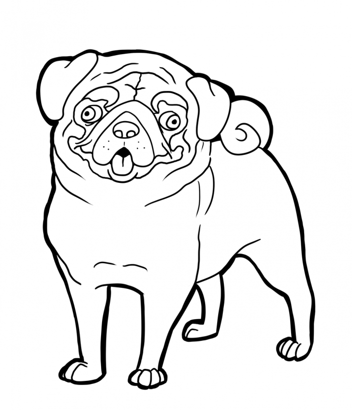 Printable Of Pugs - Coloring Pages for Kids and for Adults