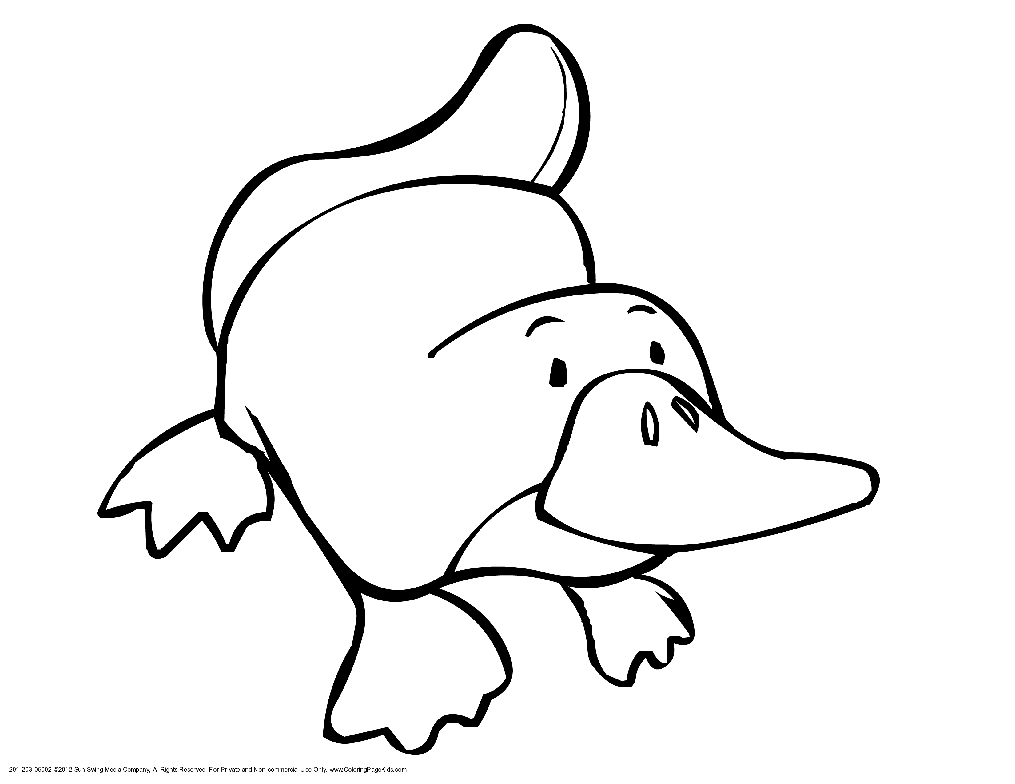 Australian Animals - Coloring Pages for Kids and for Adults