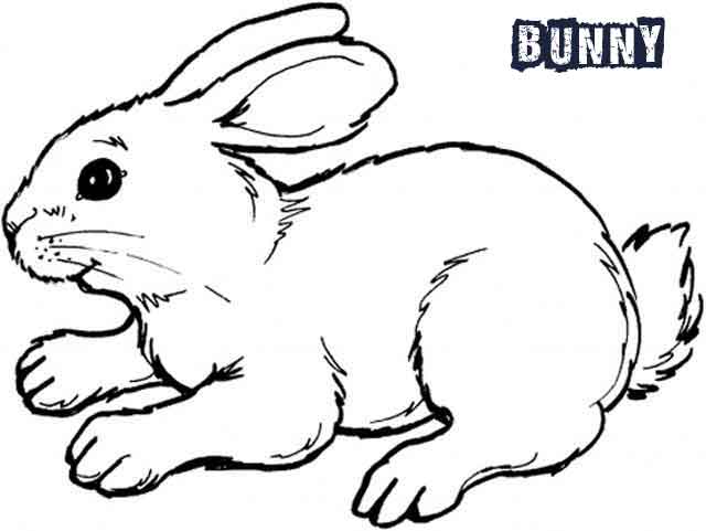 12 Best Free Printable Bunny Coloring Pages For Kids