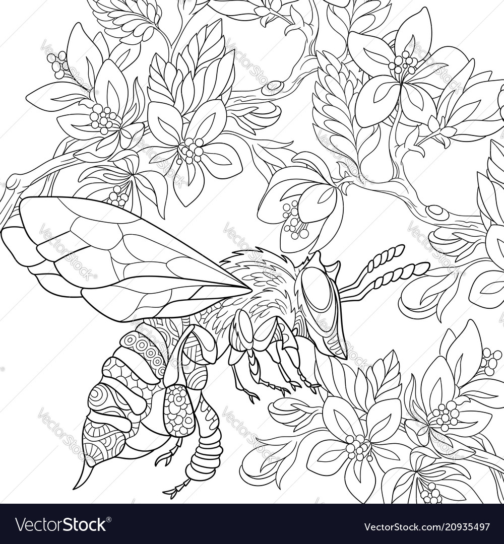 Bee coloring page Royalty Free Vector Image - VectorStock