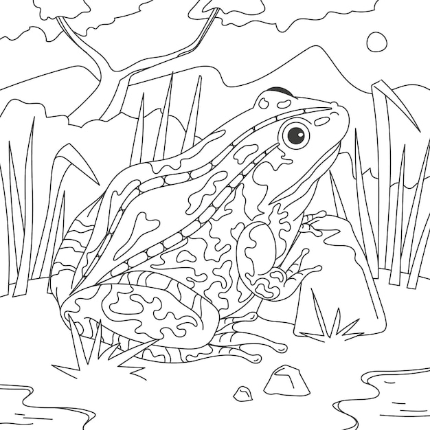 Frog coloring page Images | Free Vectors, Stock Photos & PSD