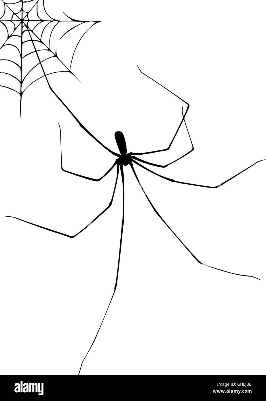 Long Legs Vector Vectors High Resolution Stock Photography and Images -  Alamy