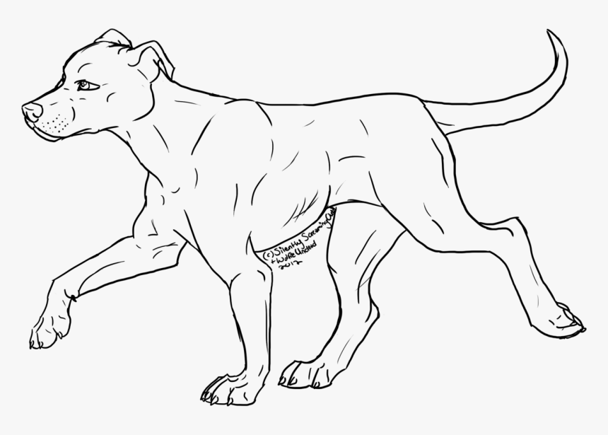 Drawn Pit Bull Chibi - Pitbull Coloring Page Free, HD Png Download ,  Transparent Png Image - PNGitem