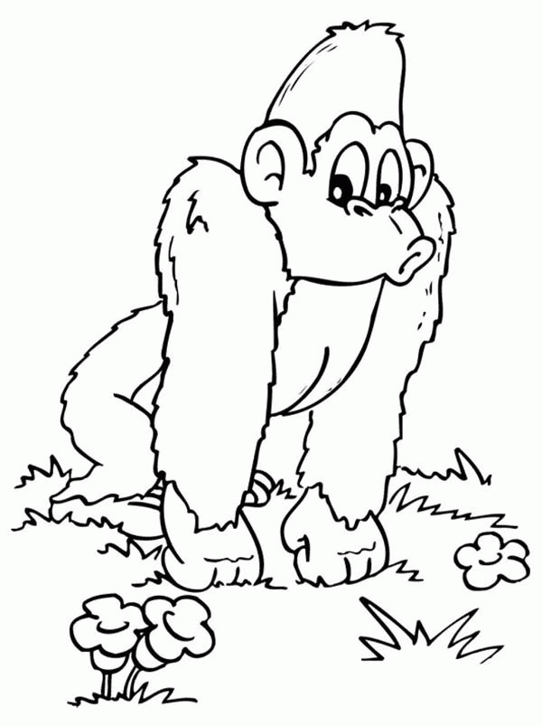 Gorilla Coloring Page Gorilla Free Printable Coloring Pages ...