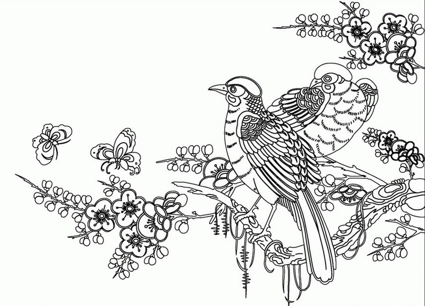 Proficiency Bird Coloring Pages For Kids Az Coloring Pages ...