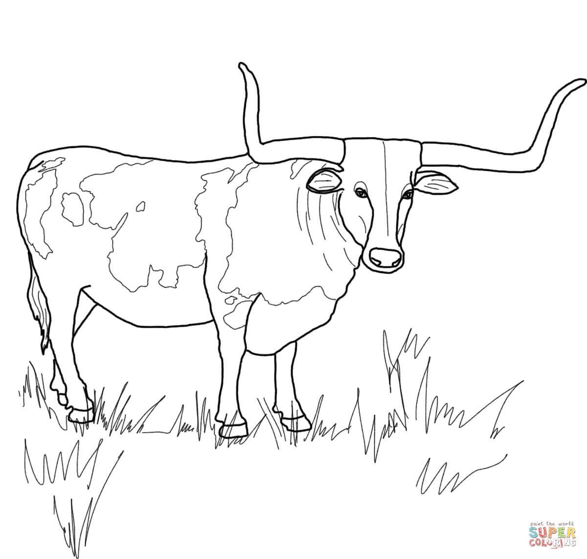 Texas Flag Coloring Page Printable University Of Texas Longhorn ...