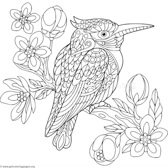 Download this free Zentangle Kingfisher Bird Coloring Pages #coloring  #coloringbook #coloringpages … | Páginas para colorear, Dibujos, Dibujos  para colorear adultos