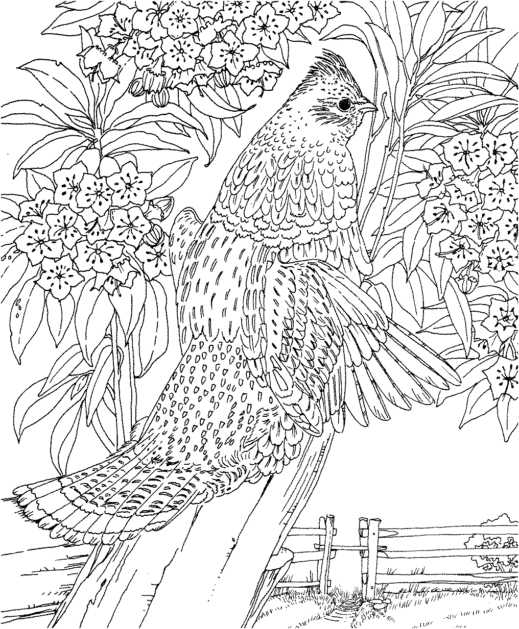 Coloring Online - Part 406